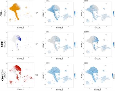 Current annotation strategies for T cell phenotyping of single-cell RNA-seq data